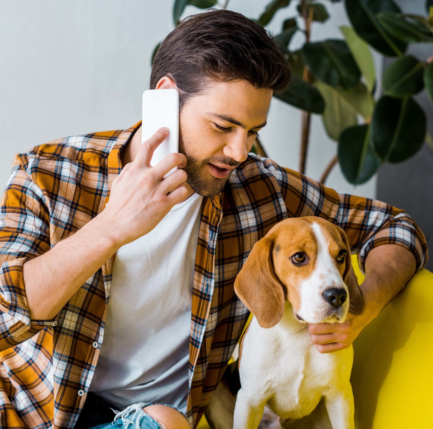 where-to-buy-dog-food-where-to-buy-cat-food-freshpet