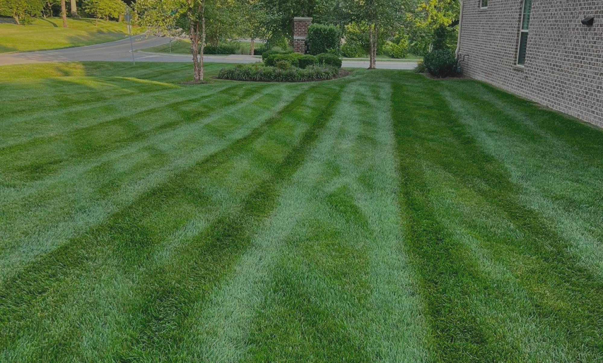 Lawn care background image