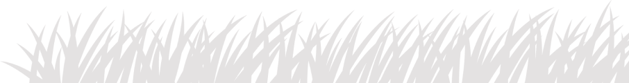 Partner logos