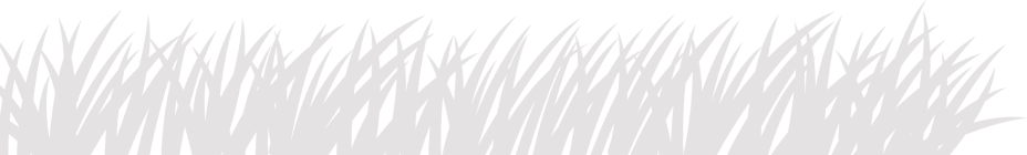 Partner logos