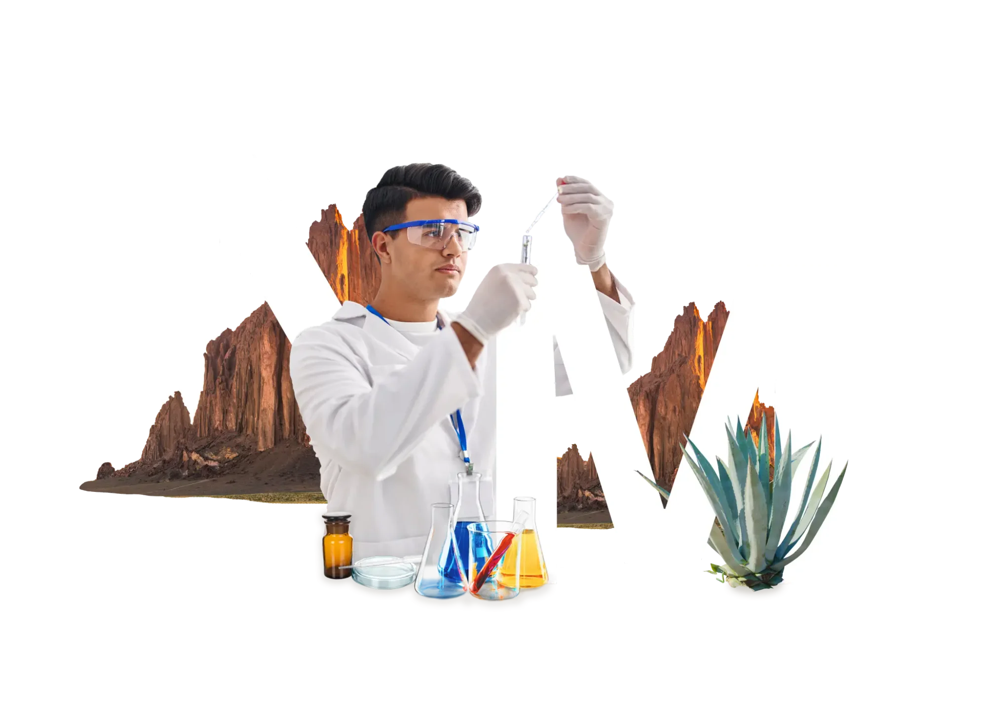 How To Get A Business License In New Mexico (2024)