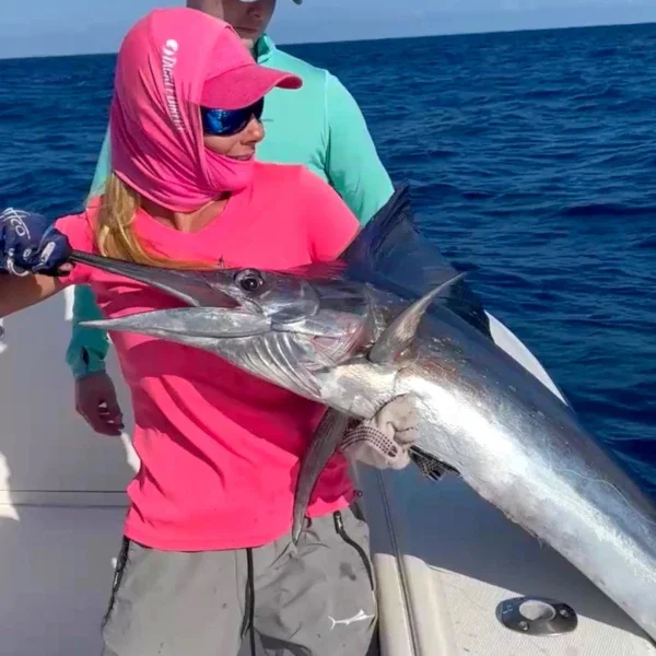 Best Sailfish Reels & Rods TackleDirect