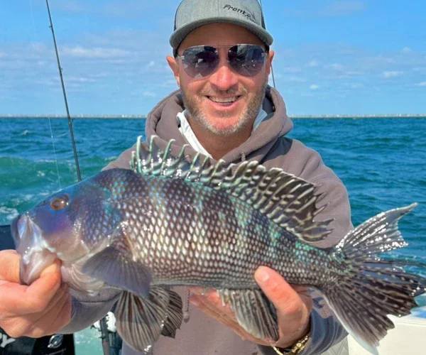 Black Sea Bass Tips & Tackle | TackleDirect