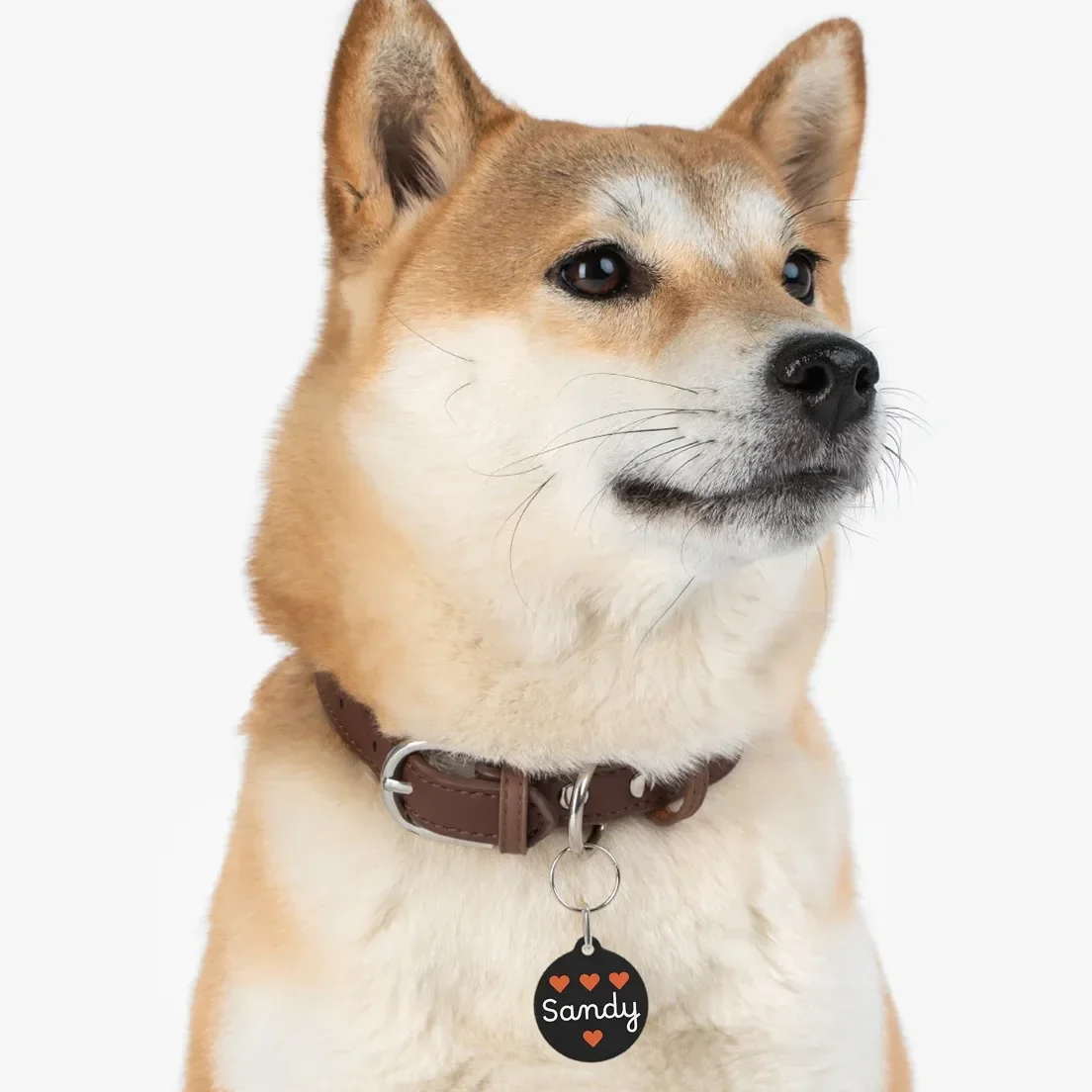 Create custom dog tags for your pets or selling online