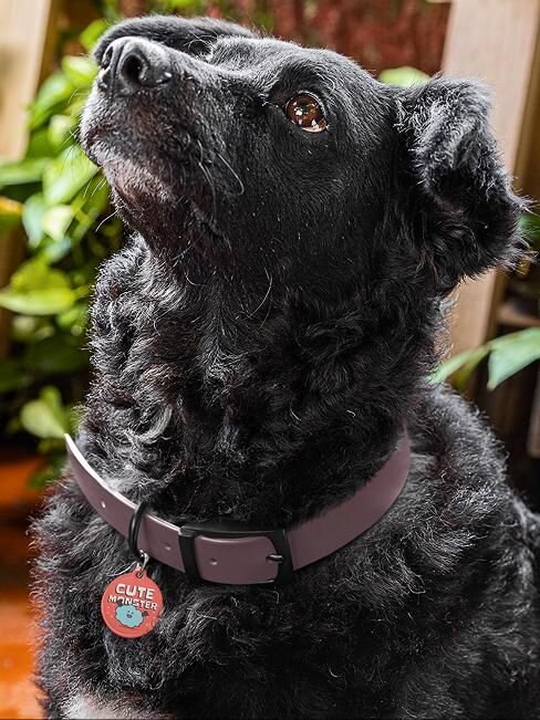 Create custom dog tags for your pets or selling online