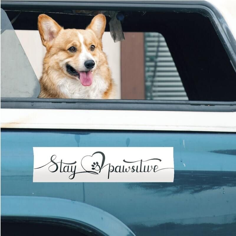 Design custom bumper stickers online – Sell worldwide