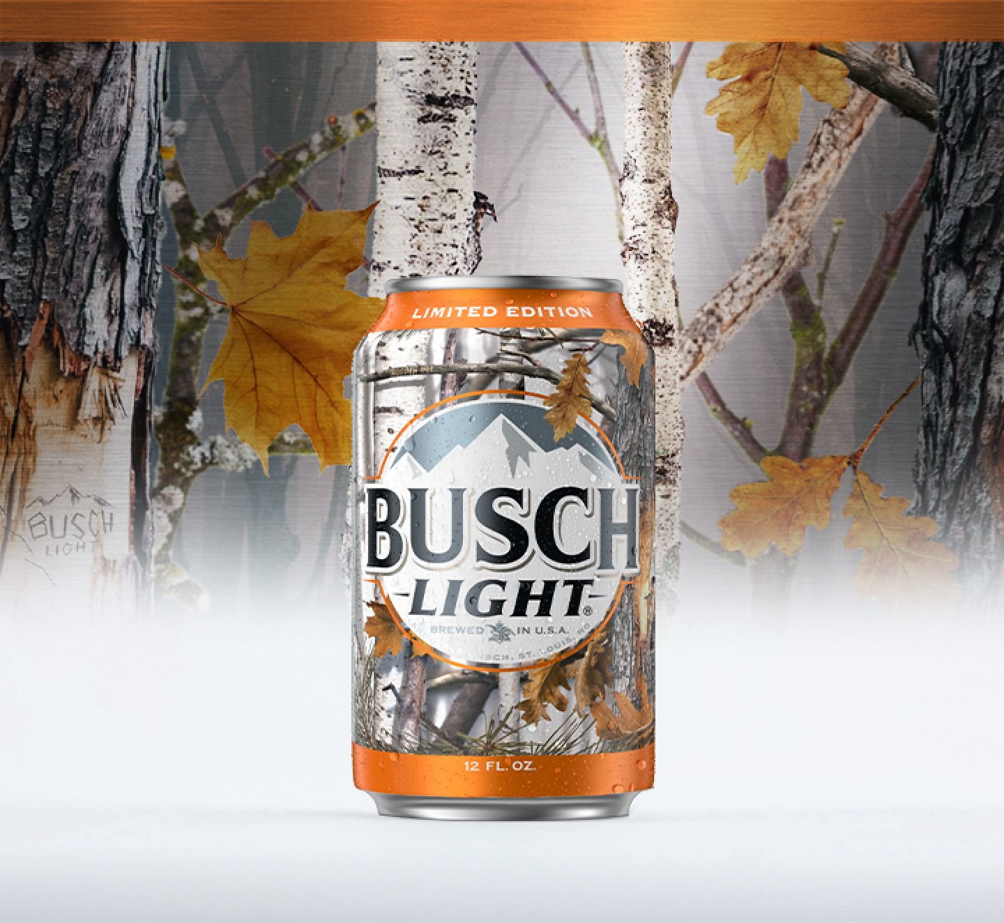 BUSCH LIGHT History