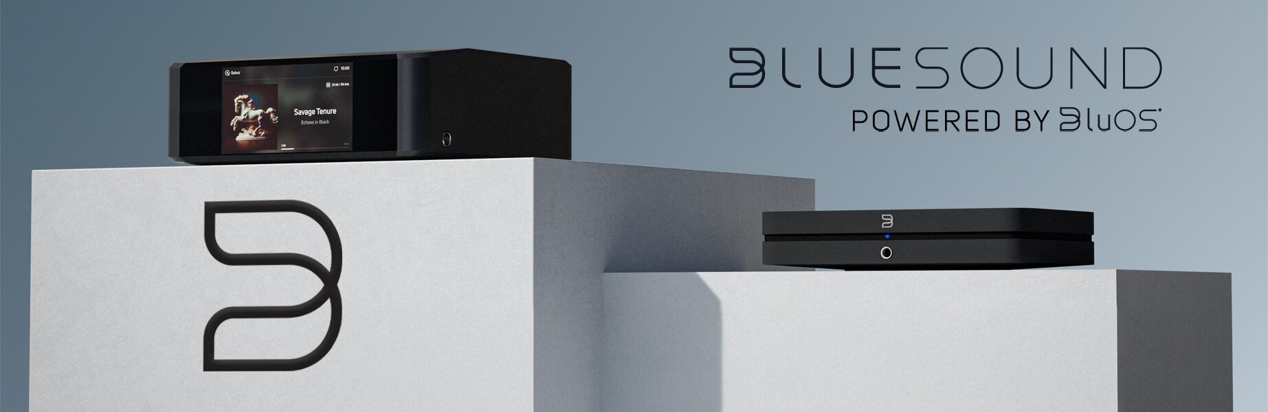 Bluesound Streaming Audio Guide