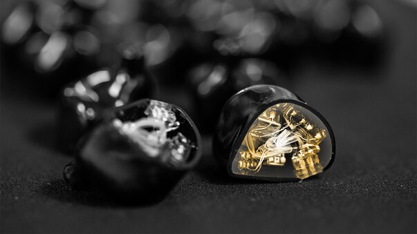 How to Order Custom IEMs