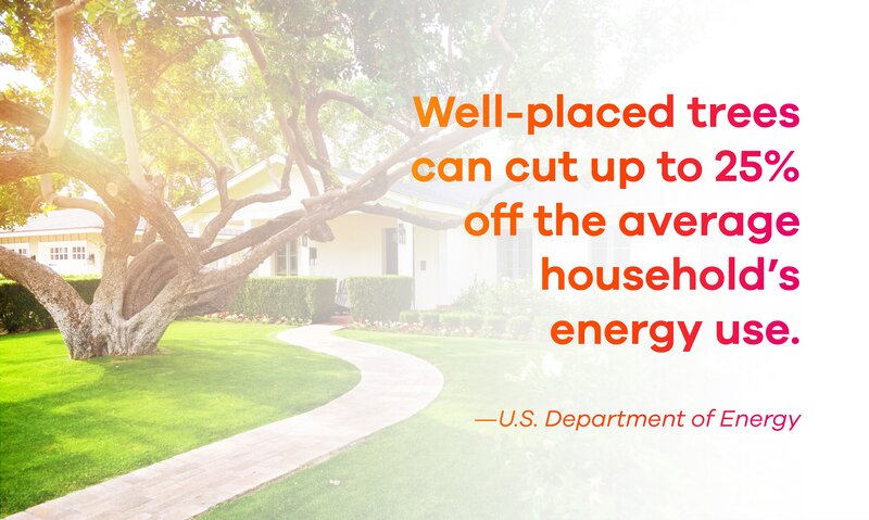 Reduce Your Natural Gas Bill with These Energy Saving Tips