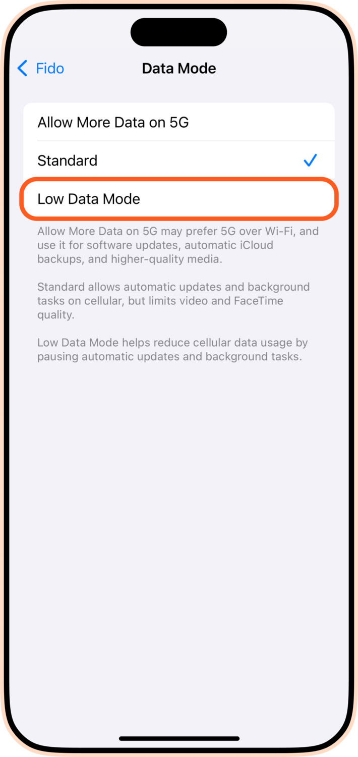 How To Check Your Data Usage on iPhone