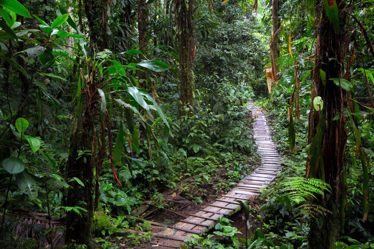 Did You Know? 20 Fun Facts About Colombia