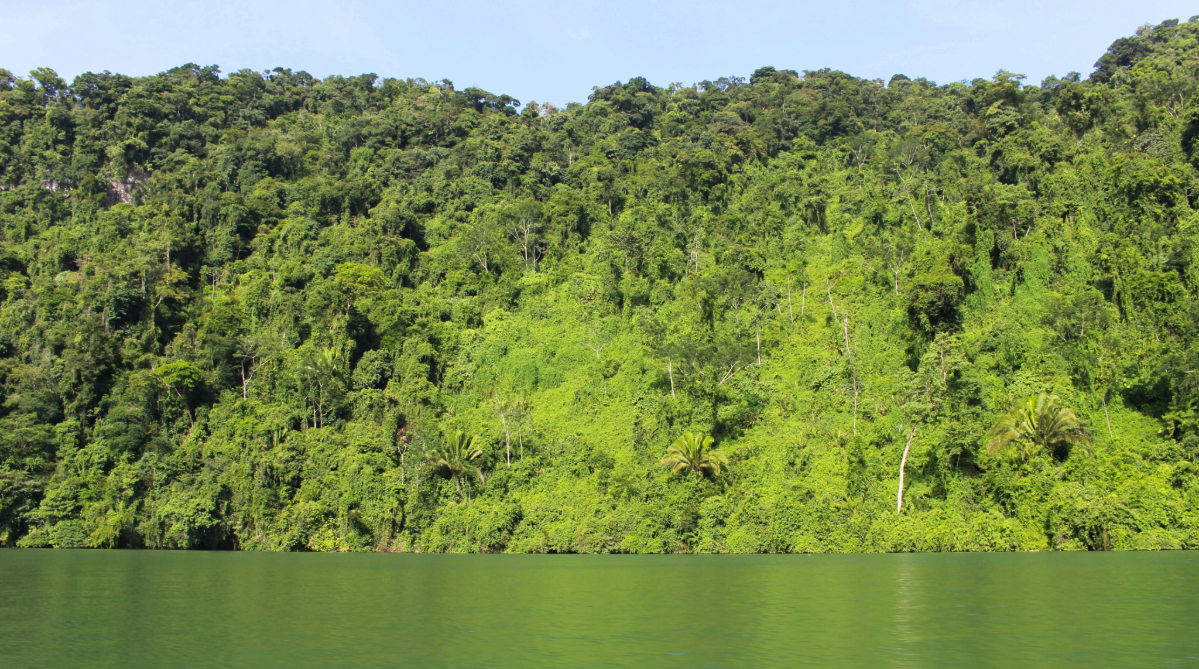 Did You Know? 13 Fun Facts About Guatemala