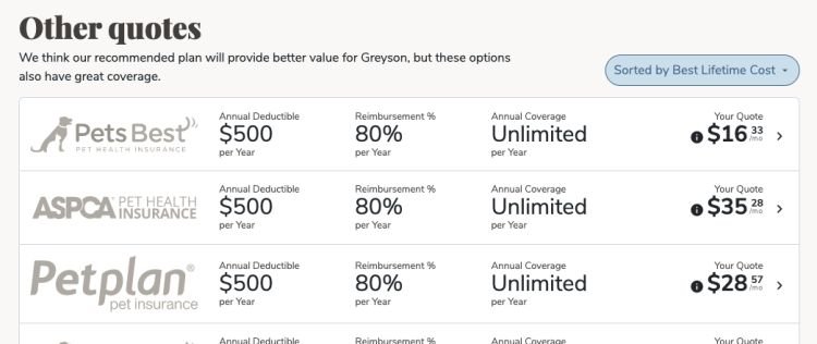 How To Compare Pet Insurance Plans, Evaluate Top Providers, & Find The ...