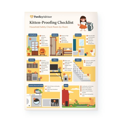 Veterinary Brochures | Client Education | Pawlicy Advisor