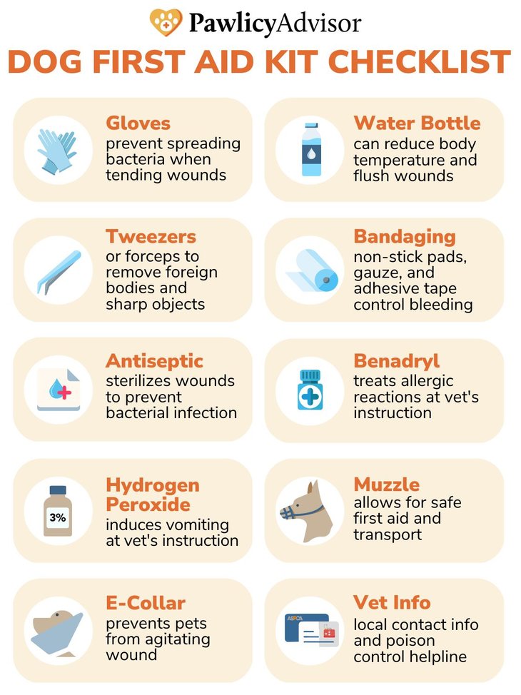 Top 10 Items To Put In A First Aid Kit For A Dog Pawlicy Advisor