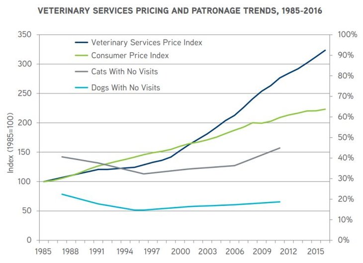 how much does a cat vet visit cost