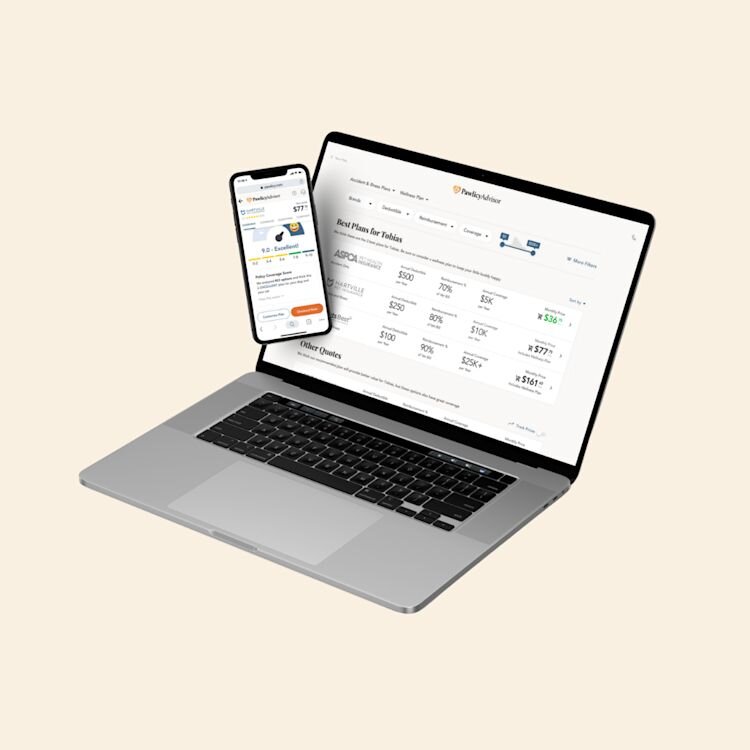 Dog Gift Guide & Giveaway Contest: Pawlidays 2021 | Pawlicy Advisor