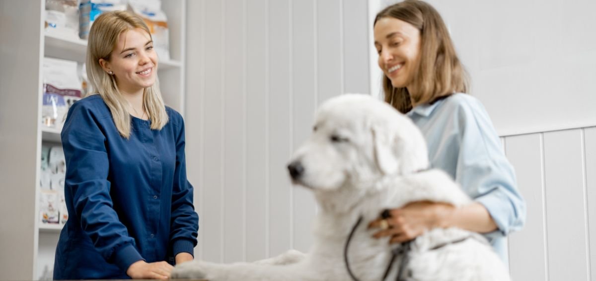 Discussing Pet Insurance With Veterinary Clients | Pawlicy Advisor