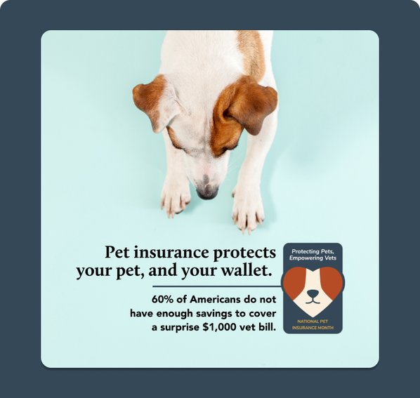 National Pet Insurance Month | Pawlicy Advisor