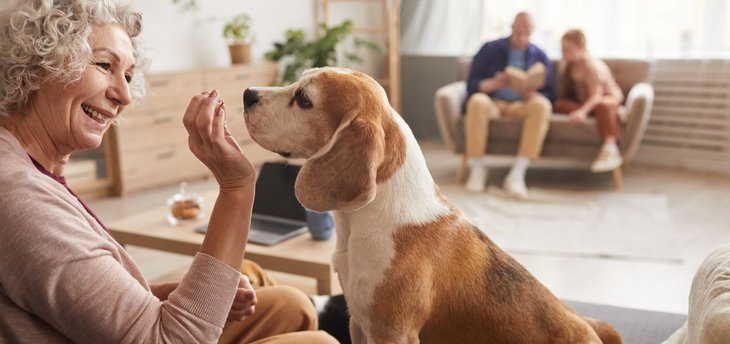 Aarp Pet Health Insurance