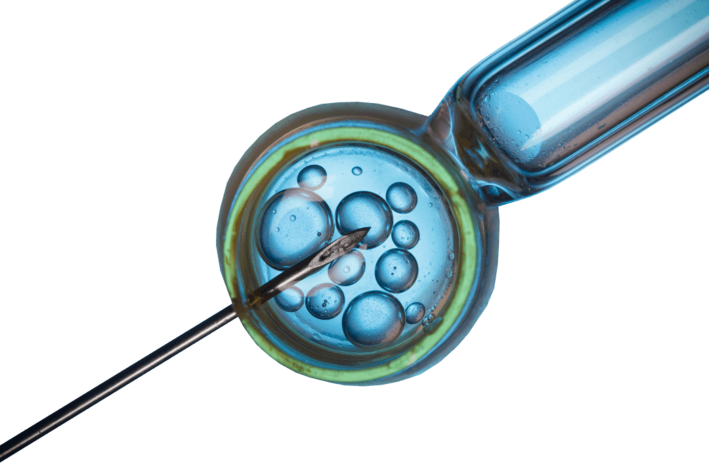 Yoxly Diagnostics IVF - Trusted At-Home STI Testing, Tailored for Your ...