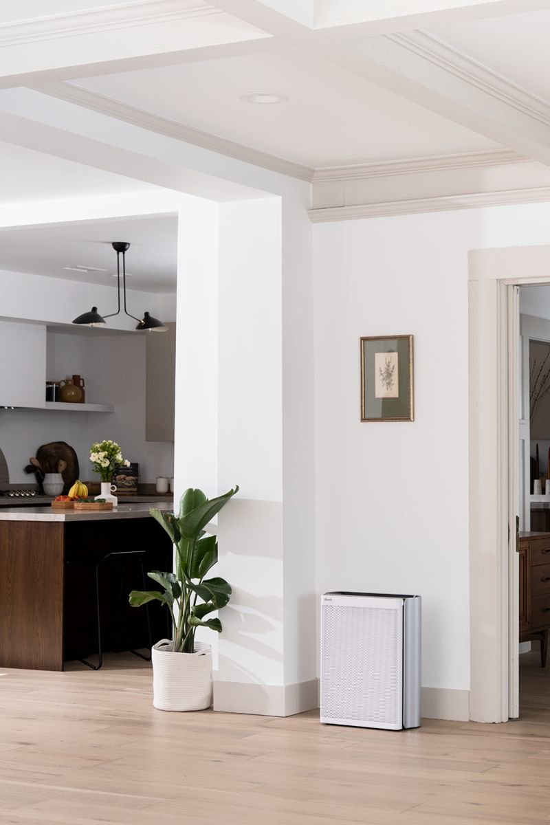 Levoit Air Purifiers, Humidifiers, Diffusers, Vacuums & More