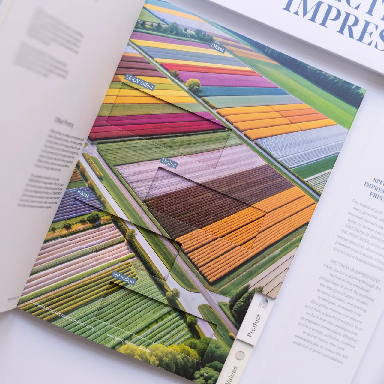 Creative print projects, print know-how & blog | mymondi.net