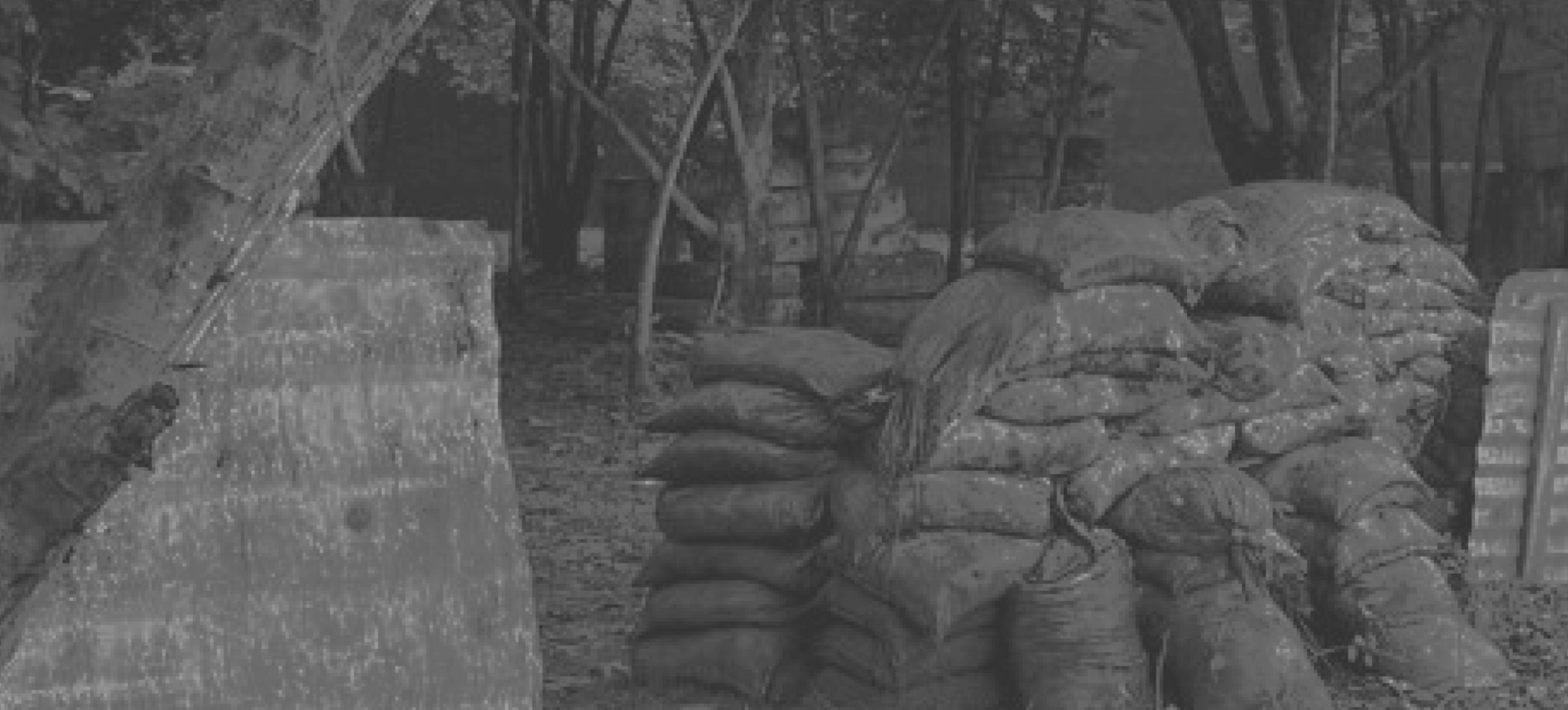 Paintball para niños background