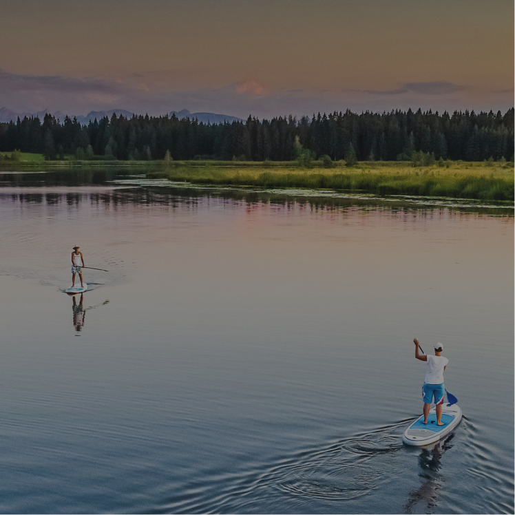 Zwei Personen beim Stand-Up-Paddling auf einem ruhigen See bei Sonnenuntergang, mit Wald und Wiese im Hintergrund.