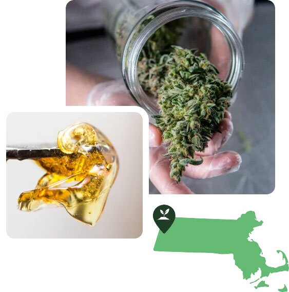 Visit Us Bloom Brothers Recreational Cannabis Dispensary