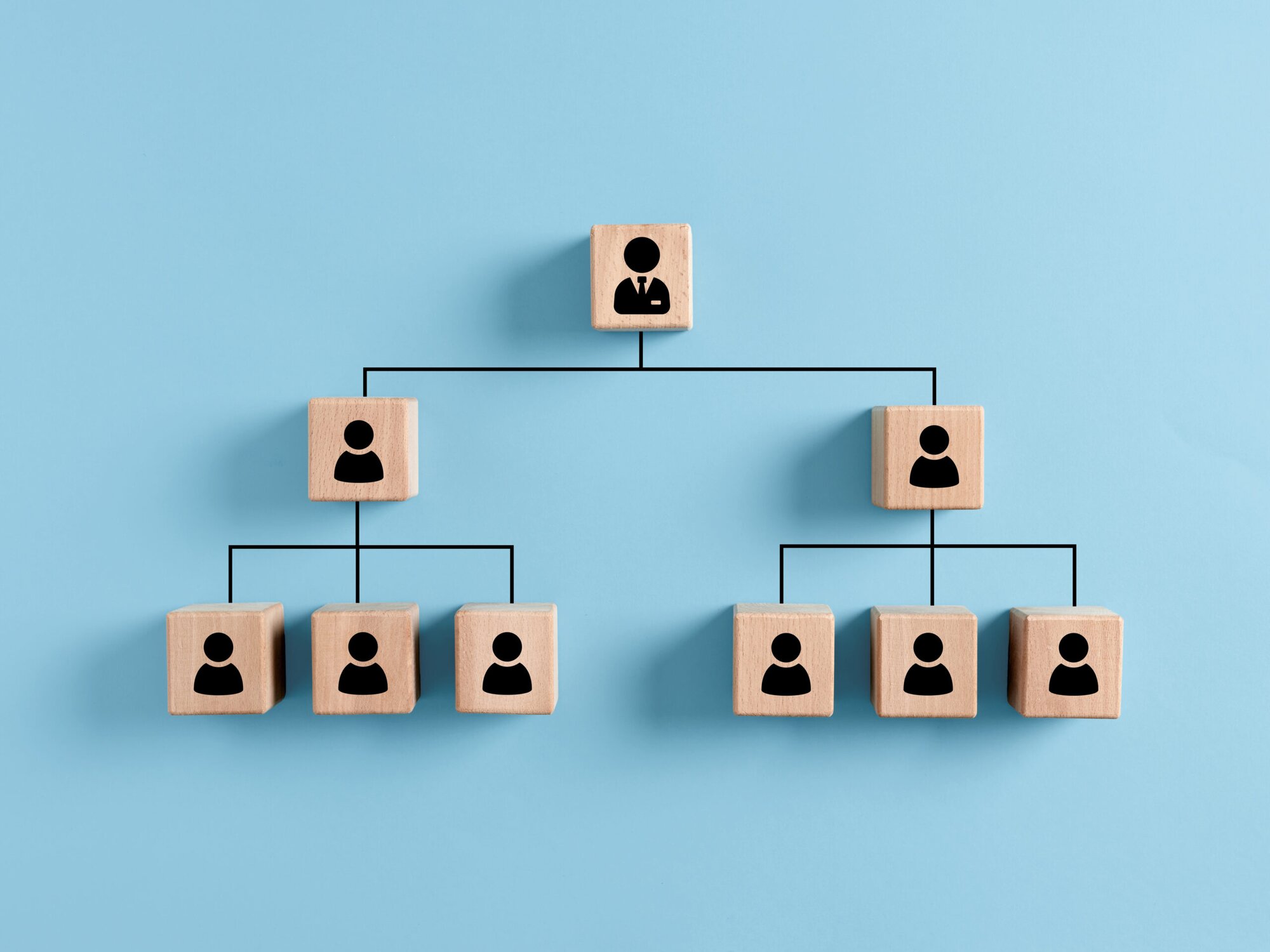 Optimizing teams: A dual perspective on Team Topologies