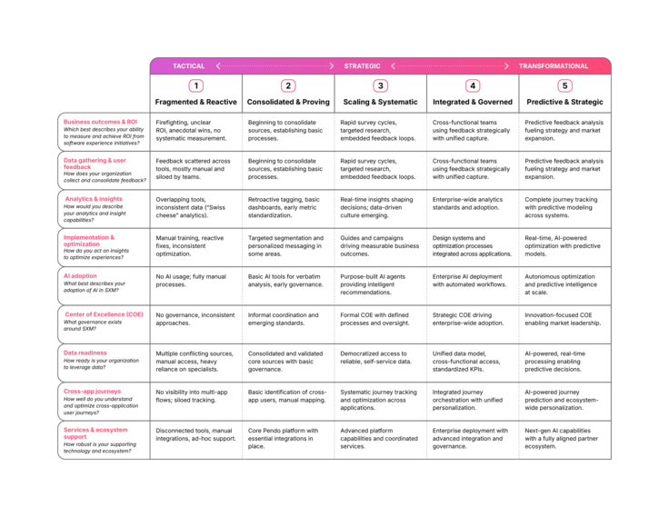 The Software Experience Management Maturity Matrix