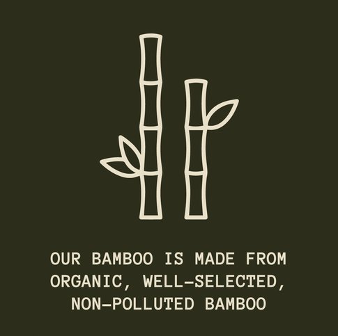 b.WR | Eco-Friendly Bamboo Underwear