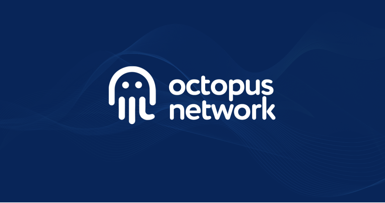 Octopus Network Seed Funding Round Complete | NEAR