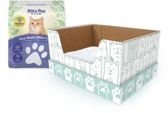 Image showcasing Disposable Cat Litter Boxes | Kitty Litter Subscription - Kitty Poo Club