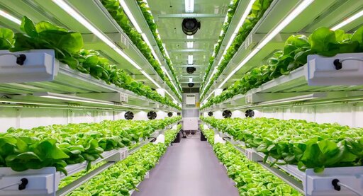 Shipping Containers for Farming & Agriculture Industry | Boxhub