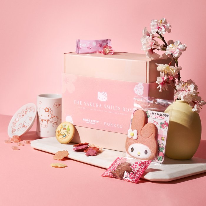 hello-kitty-and-friends-snack-box-subscription