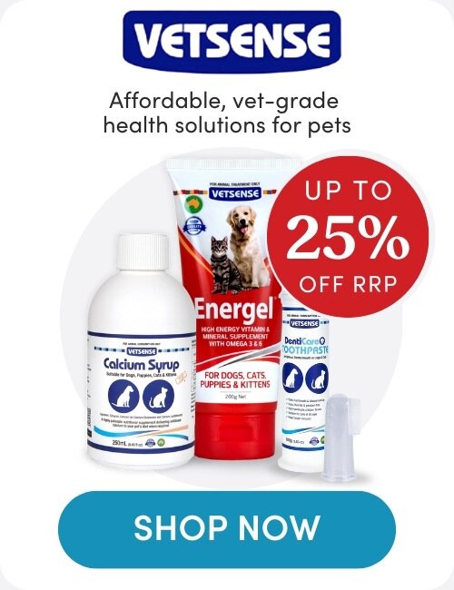 Sunny Summer Deals on Dog Essentials Your Pup Will Love