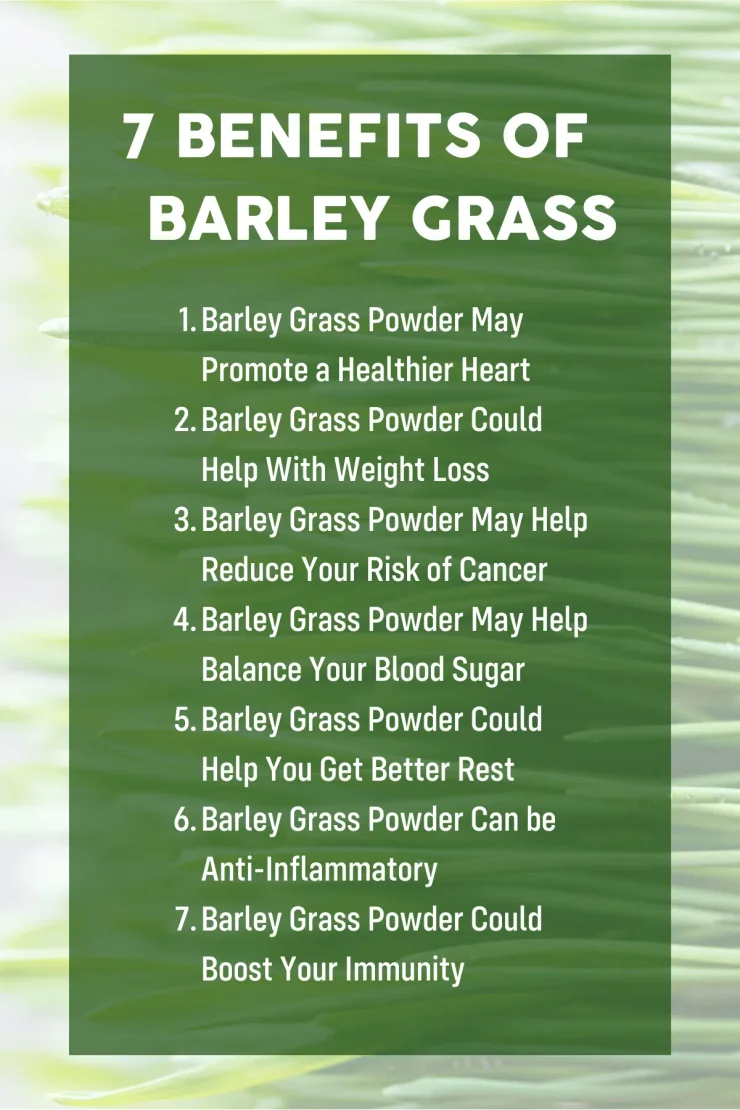 Barley Grass Nutrition, Health Benefits, & Proper Dosage