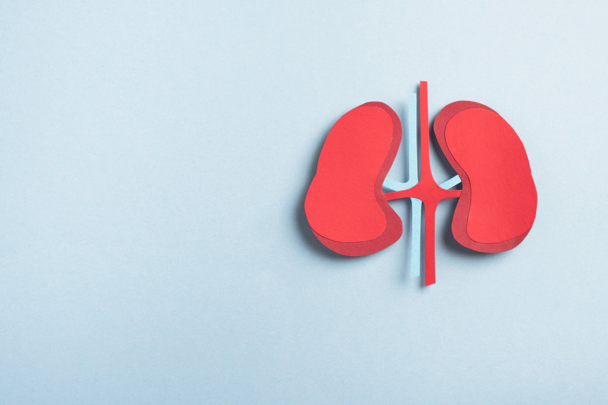 Is Collagen Bad for Kidneys? 3 Key Facts to Consider