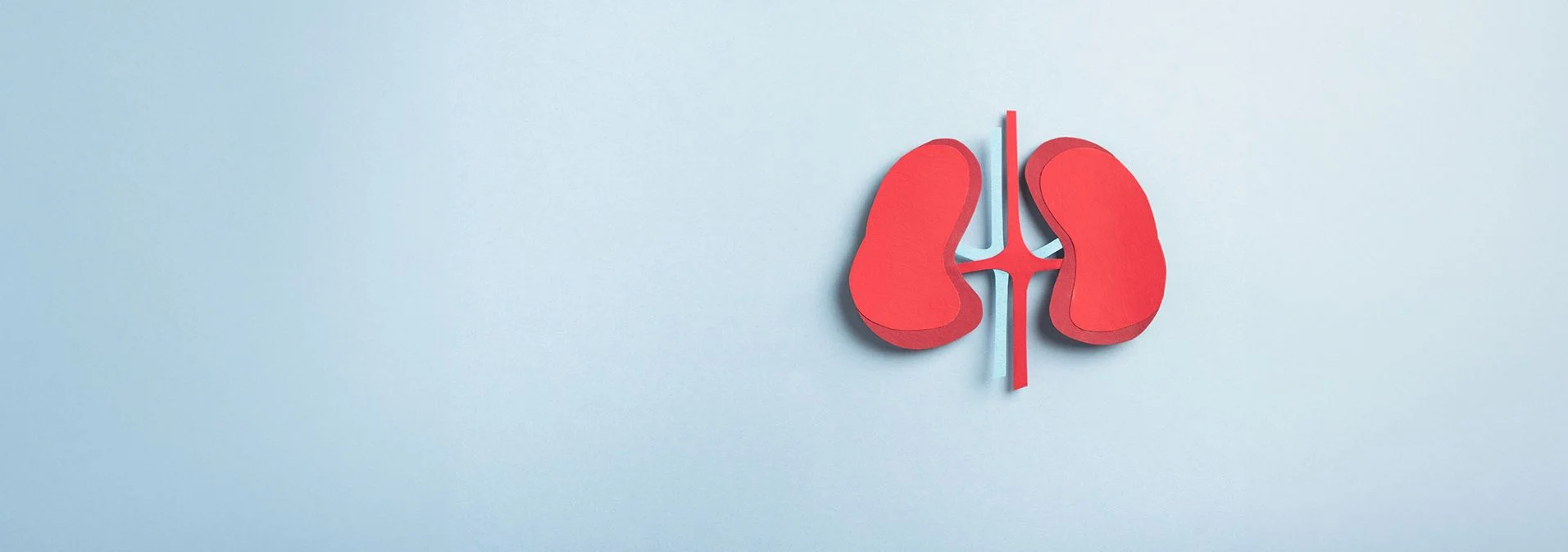 Is Collagen Bad for Kidneys? 3 Key Facts to Consider