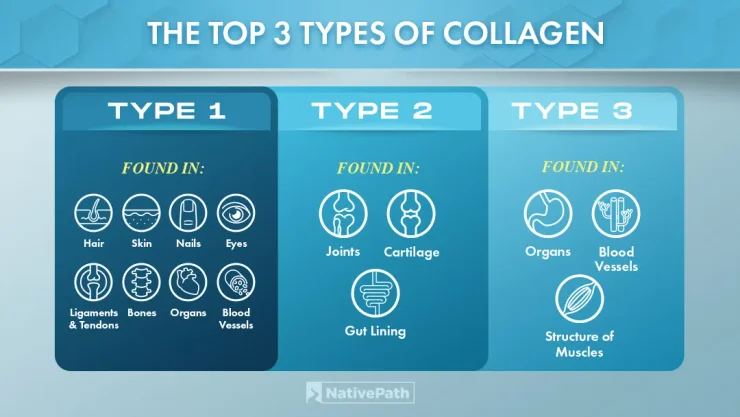 The Ultimate Guide to Collagen for Women Over 50 (2024)