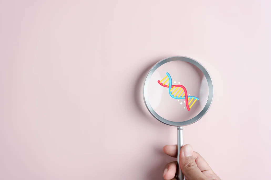 Breaking Down the MTHFR Gene & What it Means for Your Health | NativePath