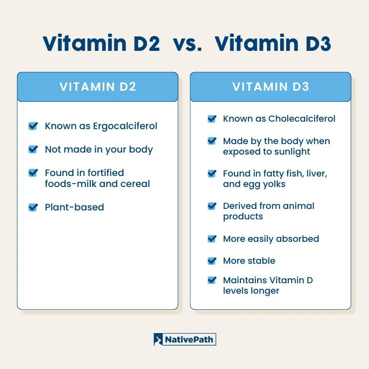 Vitamin D2 vs. D3 The Key DifferenceWhich Is Best?