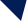 Express delivery icon
