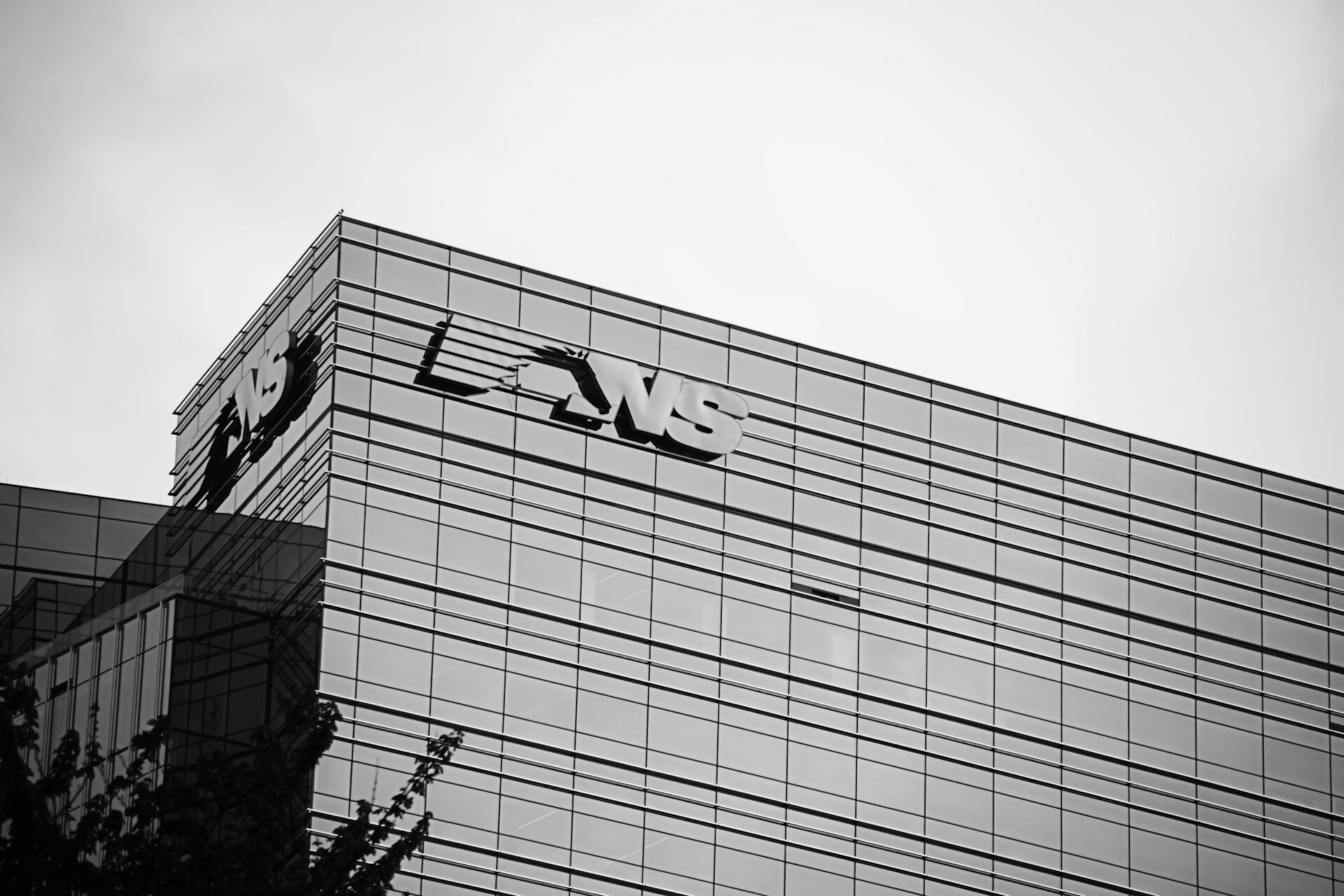A Private Company Investor's Guide to Using a Nevada LLC