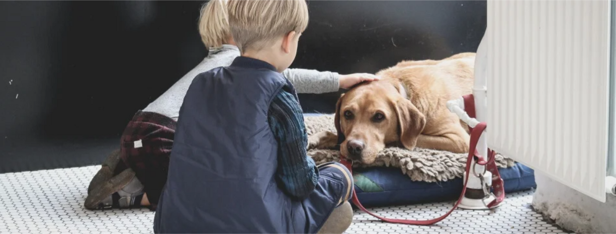 children patting old dog