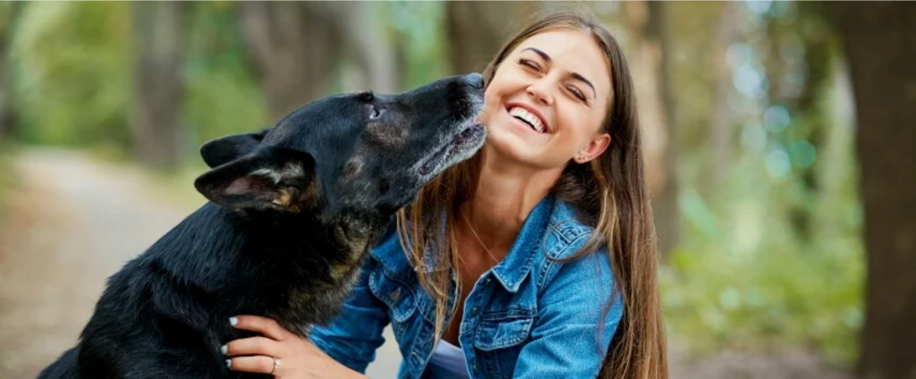 black dog licking woman's face