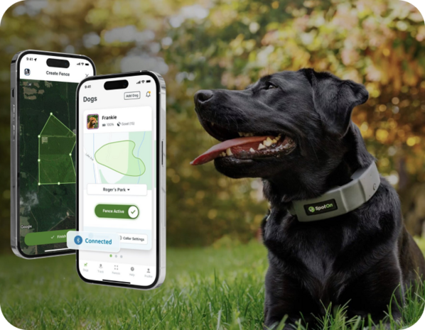 SpotOn GPS Fence